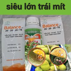 (Lớn trái mít) Bộ đôi lớn trái mít, trái to tròn đều, hạn chế méo trái, nở gai hết cỡ, múi mít to, nặng ký