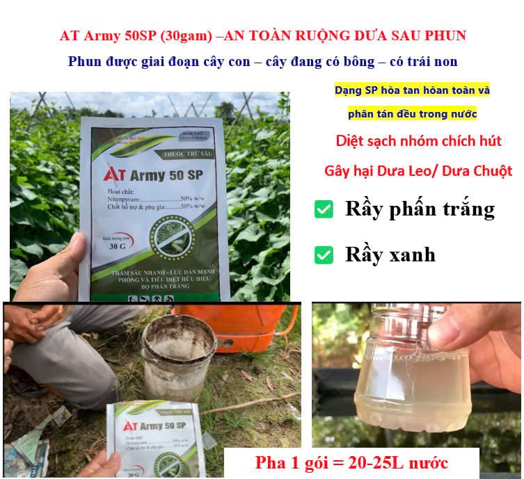 (Deo leo - Dưa chuột) Thuốc trị rầy phấn trắng, bọ trĩ và rầy xanh trên dưa leo (dưa chuột)