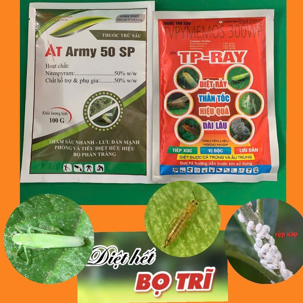 (Cây Đào) Combo thuốc trừ bọ trĩ, rệp sáp và rầy xanh trên cây đào, không nóng, mát bông, mát cây