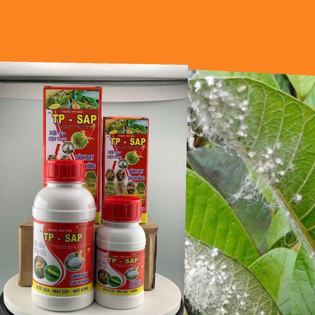 (rệp sáp ổi + chống rụng bông, trái non) Trừ rệp sáp ổi, nước sữa, không nóng và chống rụng bông, ngăn ngừa rụng trái non