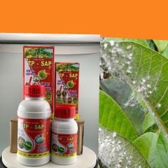 (rệp sáp ổi + chống rụng bông, trái non) Trừ rệp sáp ổi, nước sữa, không nóng và chống rụng bông, ngăn ngừa rụng trái non