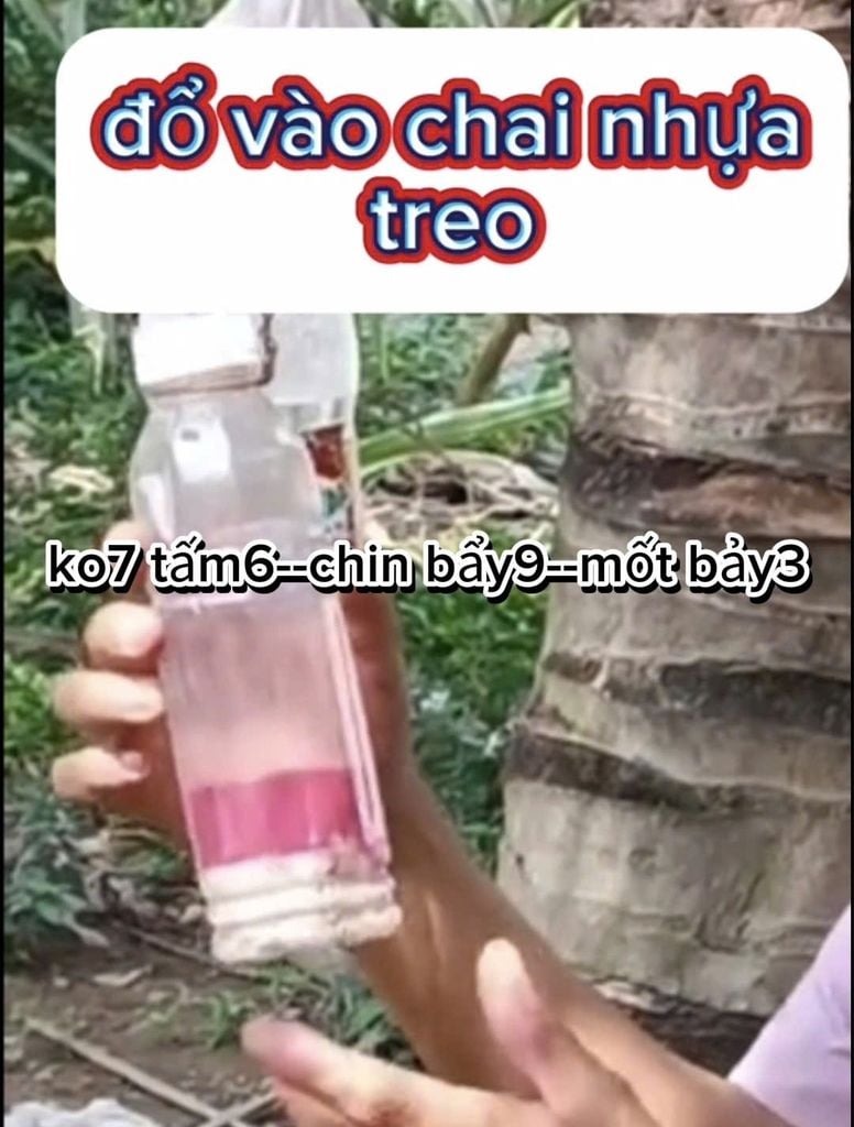 (Đuông dừa - Bọ cánh cứng) Thuốc trừ đuông dừa - bọ cánh cứng hại dừa, sieugon 85gr, rải siêu nhân 1kg