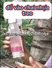 (Đuông dừa - Bọ cánh cứng) Thuốc trừ đuông dừa - bọ cánh cứng hại dừa, sieugon 85gr, rải siêu nhân 1kg