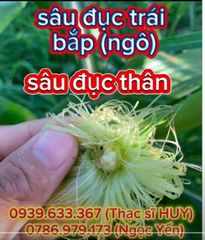 (sâu keo mùa thu) Siêu sâu 1102 20ml trừ sâu keo mùa thu, trừ sâu đục trái bắp ngô, sâu đục thân bắp ngô