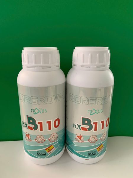 Chai Boron - B110 500ml nhập khẩu từ Tây Ban Nha, hàm lượng bo cao 110.000ppm, tăng khả năng thụ phấn, dai cuống hoa, dai cuống trái, làm đẹp trái và giảm rụng trái non