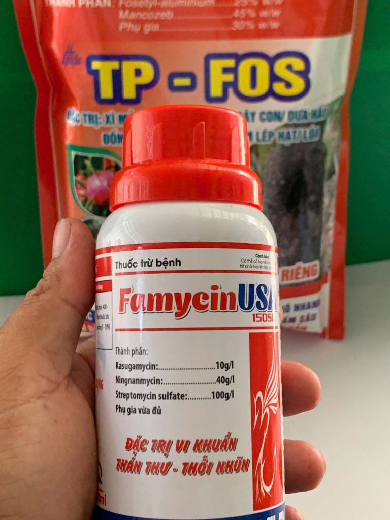 Combo phòng ngừa hiện tượng xì mủ, sượng trái măng cụt