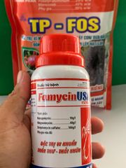 Combo phòng ngừa hiện tượng xì mủ, sượng trái măng cụt