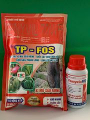 Combo phòng ngừa hiện tượng xì mủ, sượng trái măng cụt