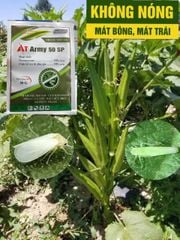 Thuốc AT ARMY 50SP trừ rầy phấn trắng đậu bắp, thuốc trị rầy xanh trên đậu bắp