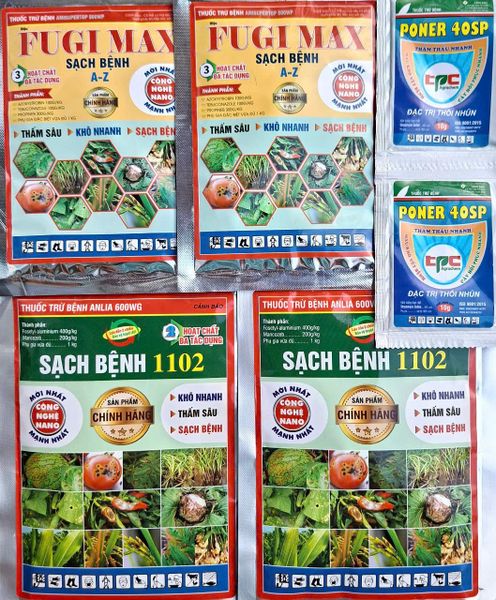 Combo quản lý thán thư, sương mai, đốm vàng lá dưa leo, dưa hấu, dưa lê, khổ qua