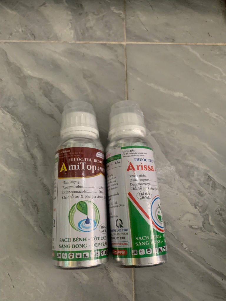 Combo quản lý thán thư, sương mai, đốm vàng lá dưa leo, dưa hấu, dưa lê, khổ qua