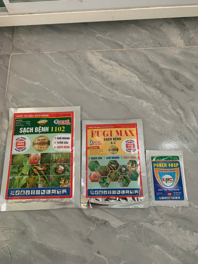 Combo quản lý thán thư, sương mai, đốm vàng lá dưa leo, dưa hấu, dưa lê, khổ qua
