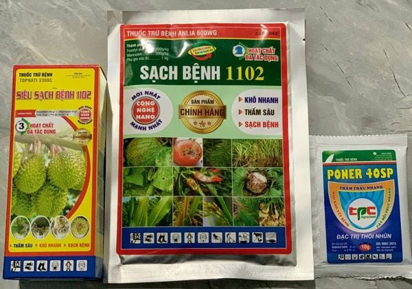 Combo trị bệnh thán thư, sương mai không nóng nhóm cây trồng bầu bí dưa (dưa leo, dưa lê, dưa chuột)