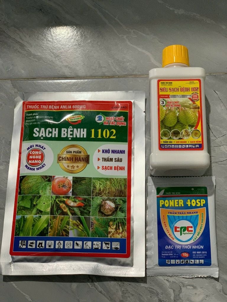 Combo trị bệnh thán thư, sương mai không nóng nhóm cây trồng bầu bí dưa (dưa leo, dưa lê, dưa chuột)