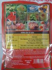 (GÓI LỚN 250gam) Thuốc trừ bệnh Rorai 21wp, sạch khuẩn 21WP 250g