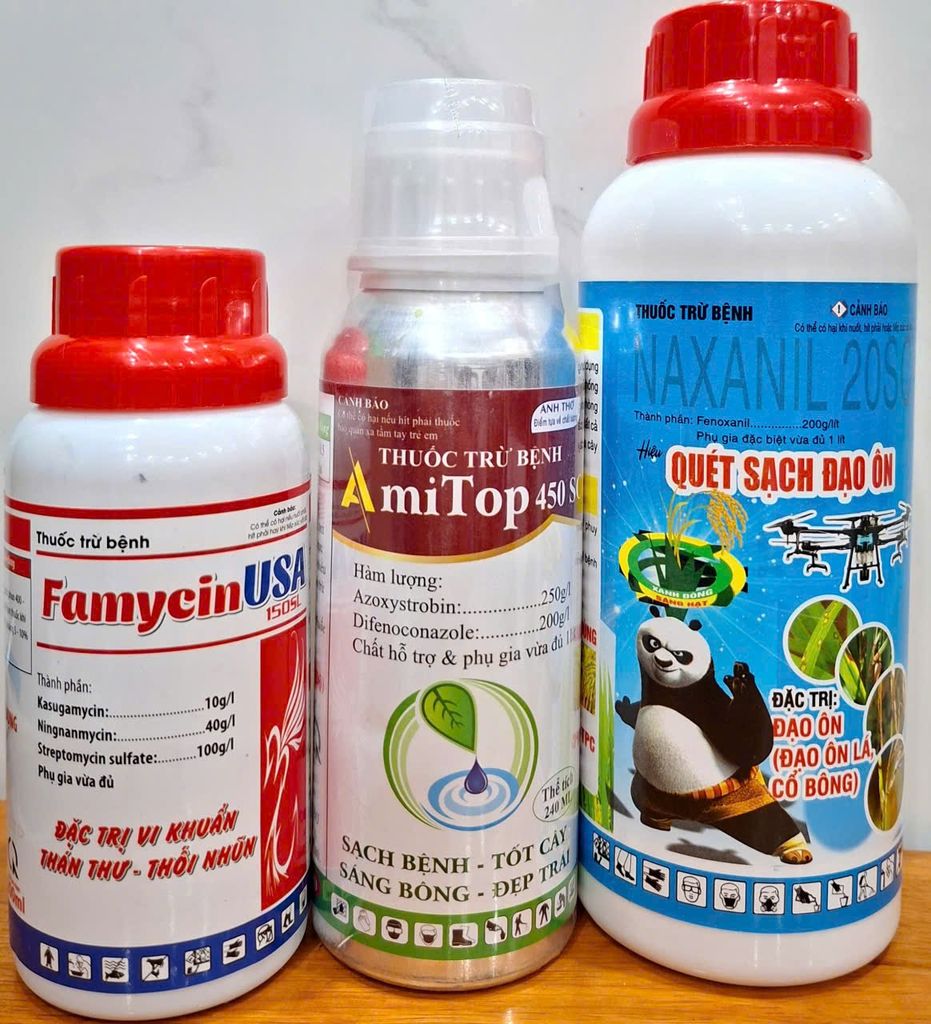 Phòng Trừ đạo ôn, lem lép, vàng lá, cháy lá vi khuẩn trên lúa