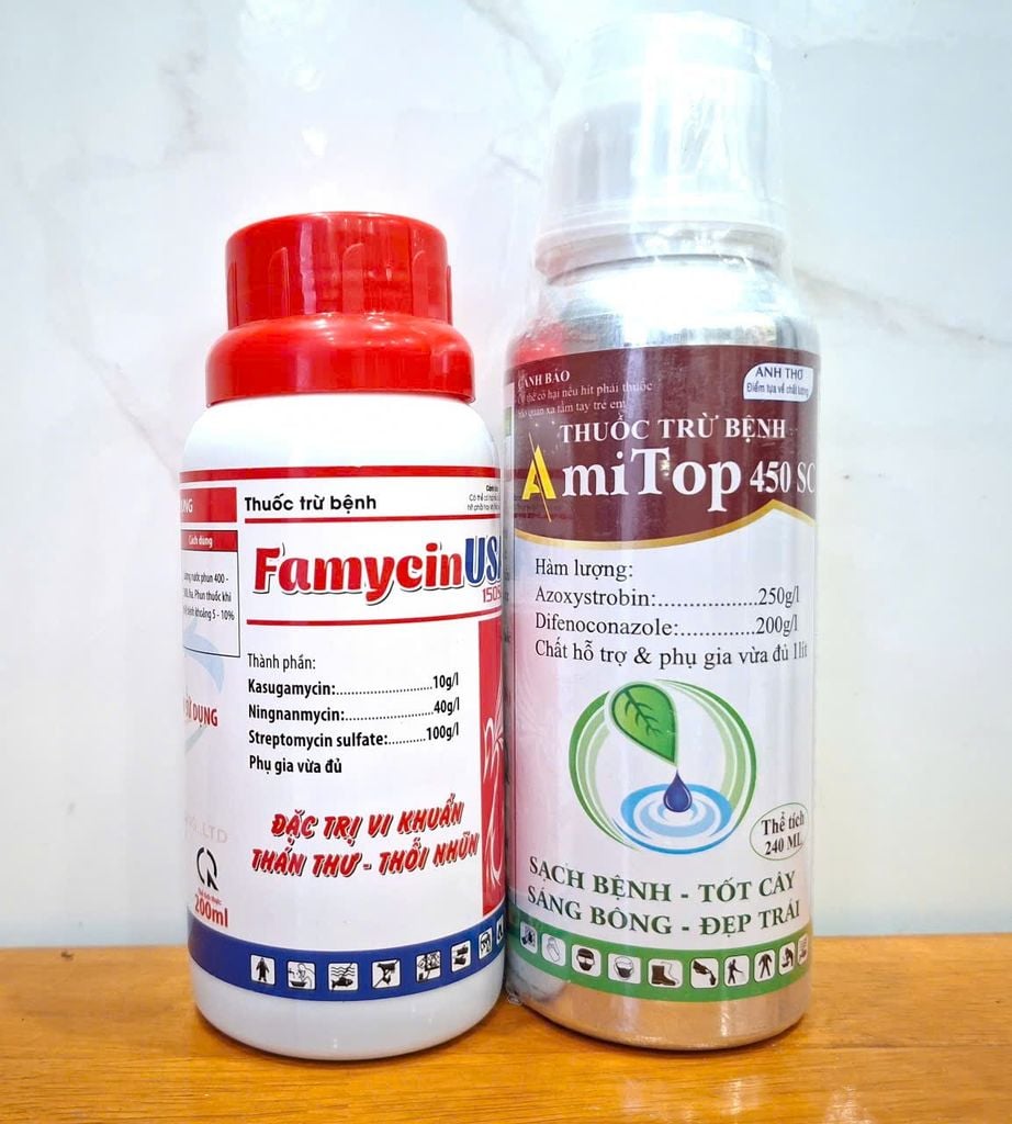 Combo thuốc phòng trừ bệnh thối trái sầu riêng, không nóng trái, thuốc không bám trái