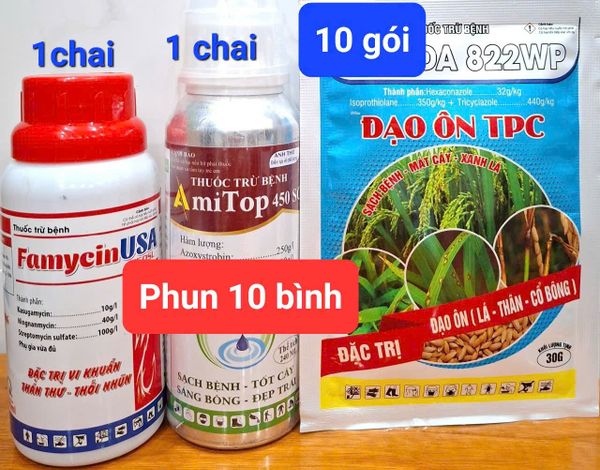 Phòng Trừ đạo ôn, lem lép, vàng lá, cháy lá vi khuẩn trên lúa