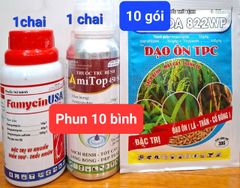 Phòng Trừ đạo ôn, lem lép, vàng lá, cháy lá vi khuẩn trên lúa