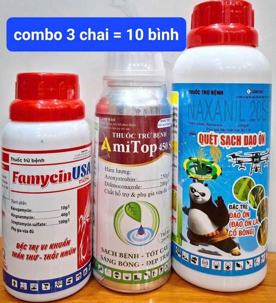 Phòng Trừ đạo ôn, lem lép, vàng lá, cháy lá vi khuẩn trên lúa