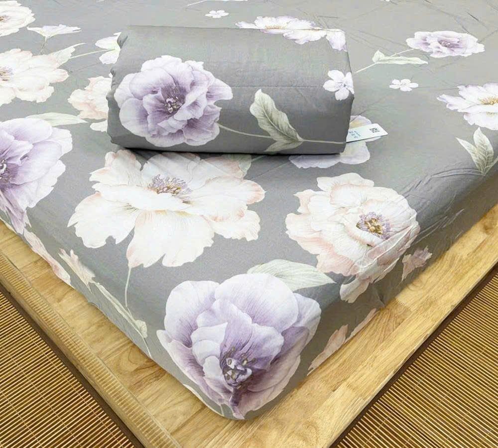  Bộ chăn ga Modal Bông Đại 