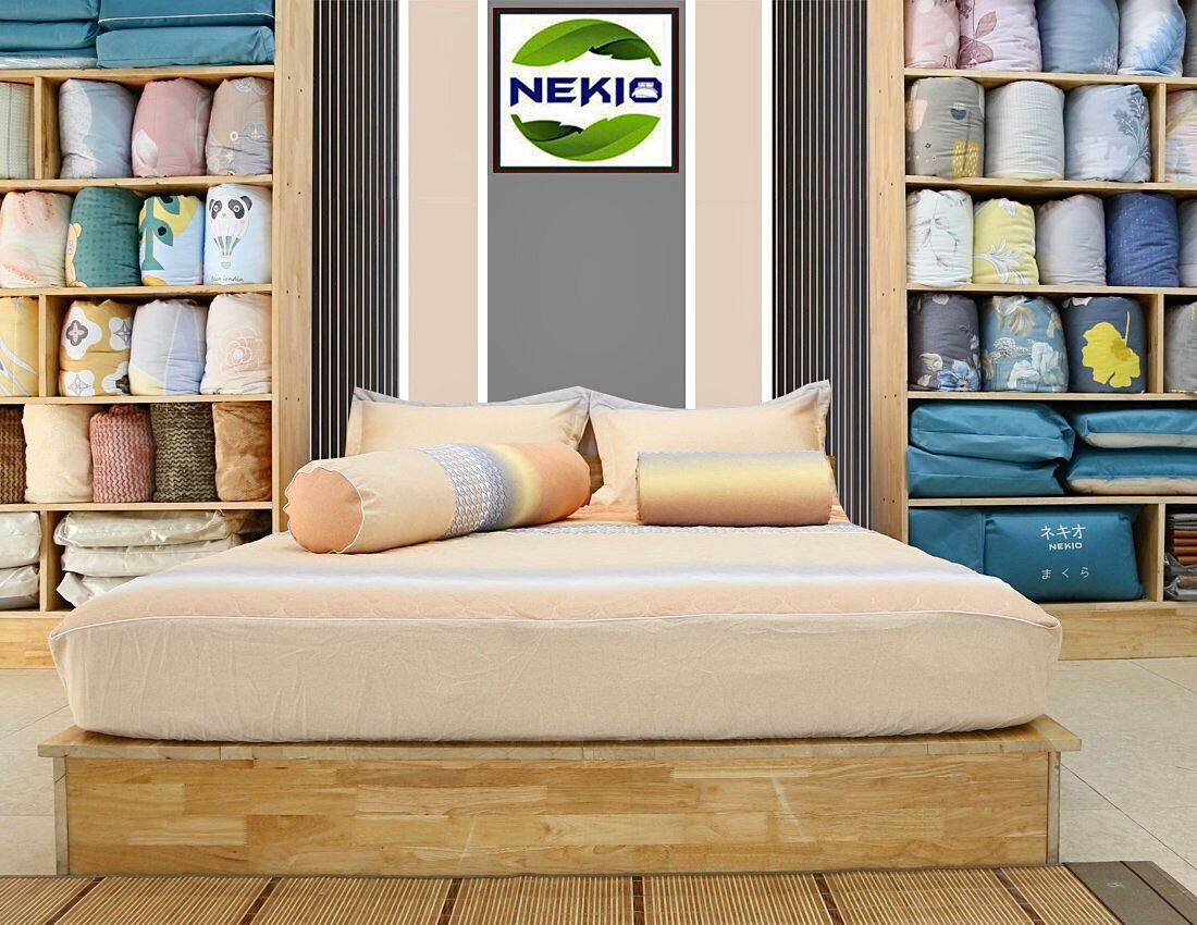  Bộ Chăn Ga Cotton Sắc Màu 
