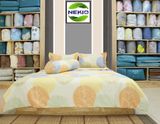  Bộ Chăn Ga Cotton Lá Musa 