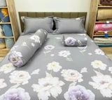  Bộ chăn ga Modal Bông Đại 