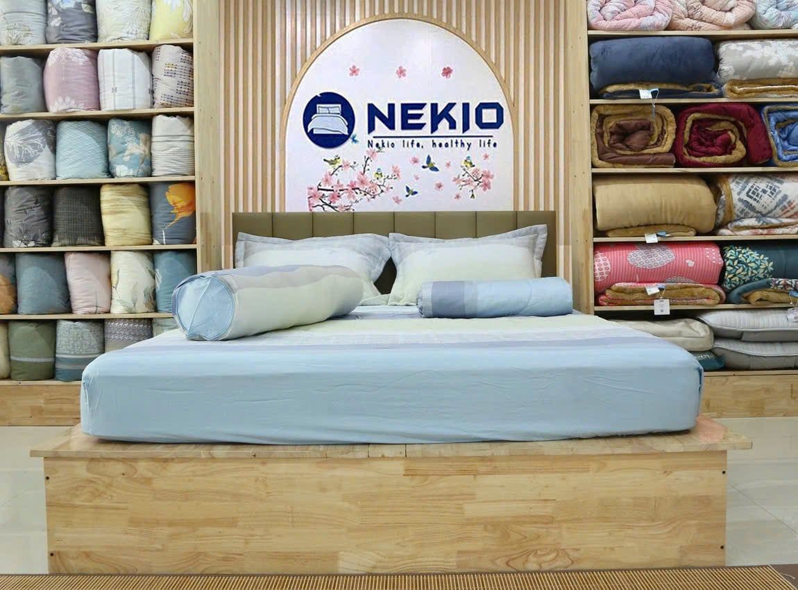  Bộ chăn ga Modal Kẻ Xanh 