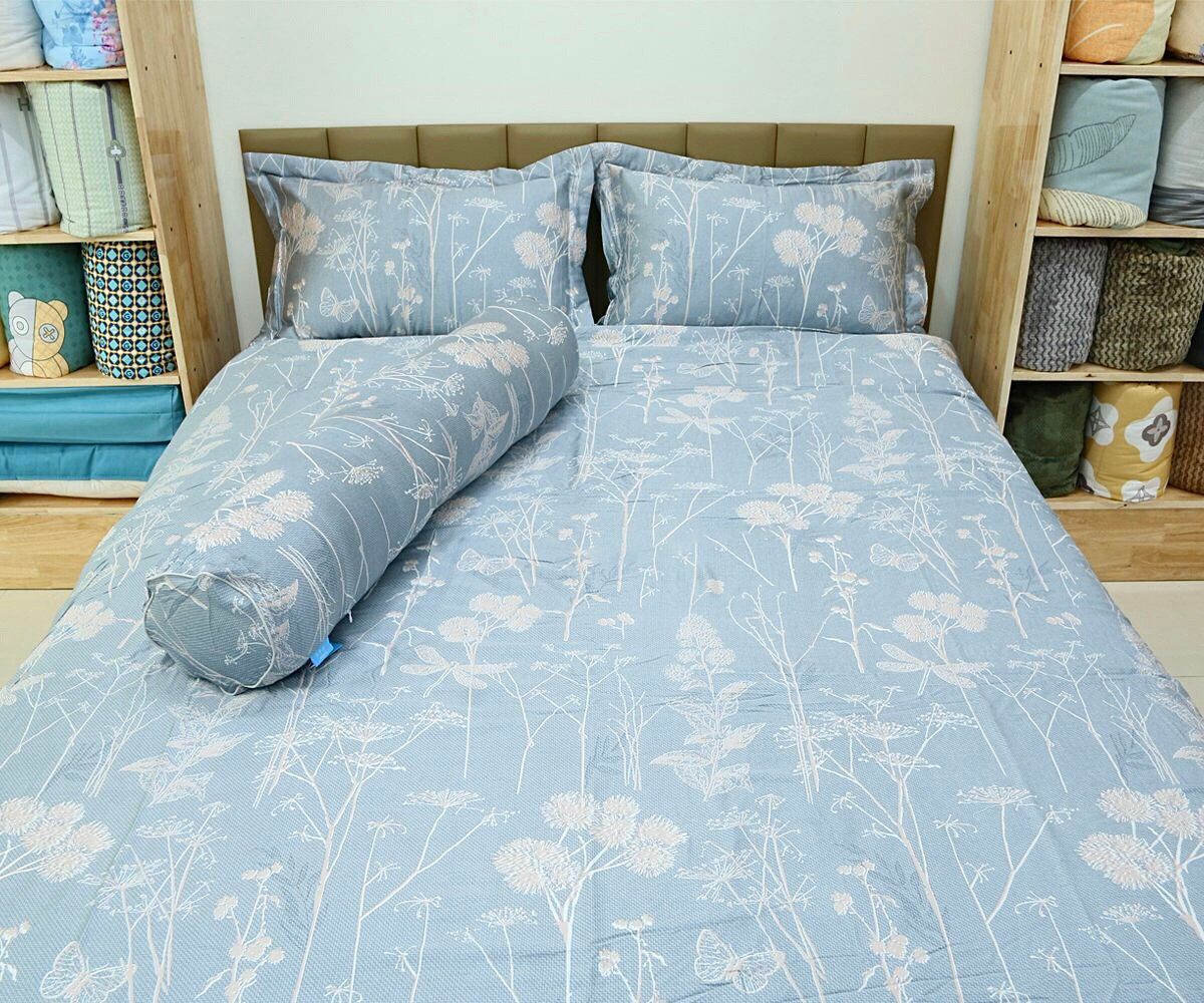  Bộ chăn ga Lụa Tencel hoa Mùi Tây 
