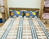  Chăn Lông Cừu Nhật Bản Nekio Kẻ 