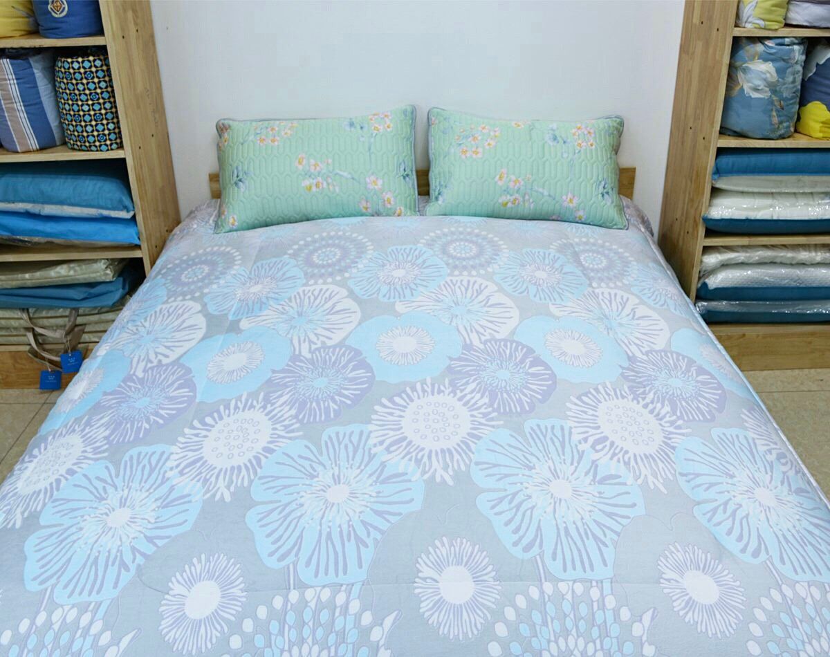  Chăn Lông Thỏ Queen Luxury Nekio Xanh Họa Tiết 