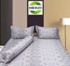  Bộ chăn ga ProTencel Kết Nối 