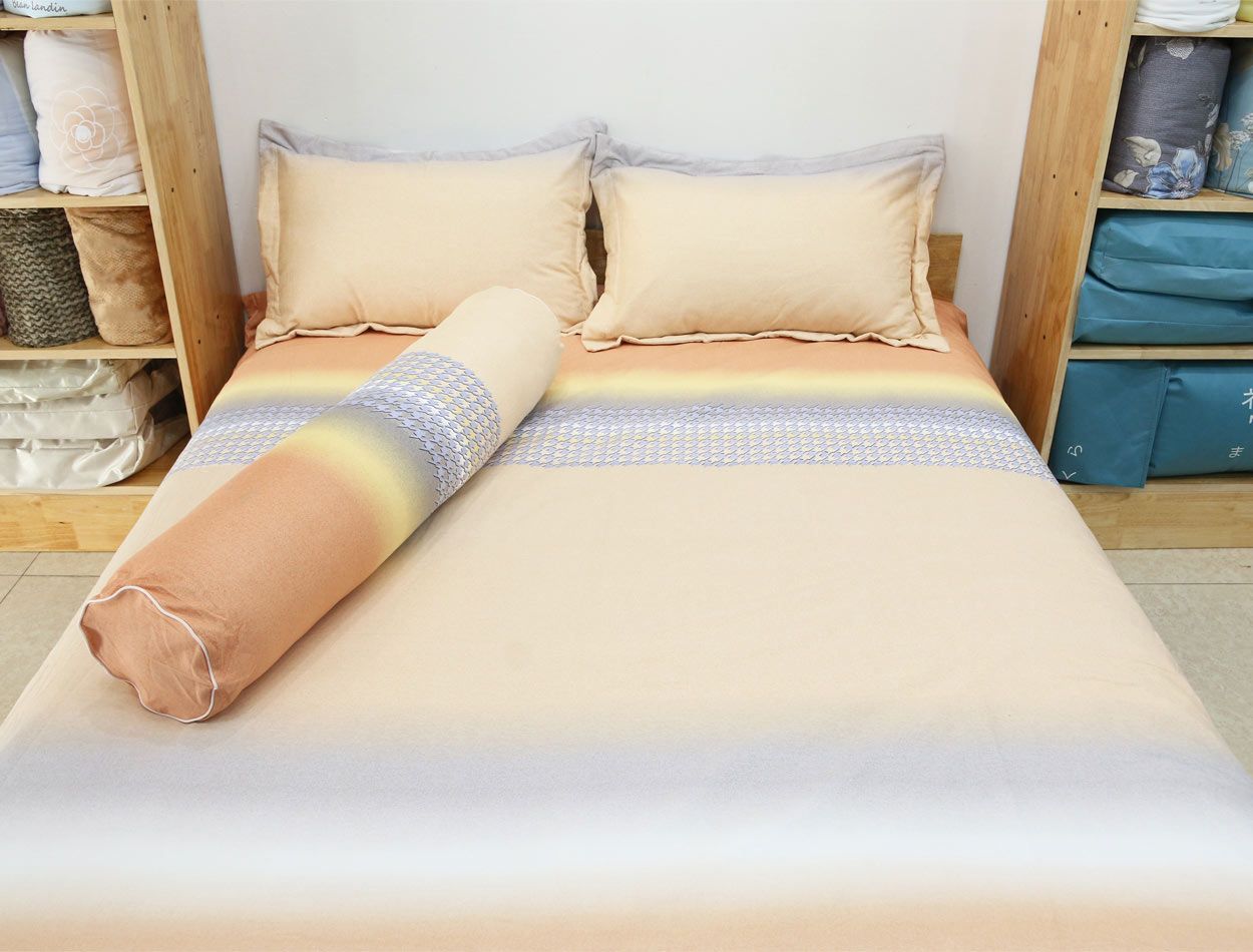 Bộ Chăn Ga Cotton Sắc Màu 