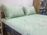  Chiếu cao su non (Latex) vải Modal gỗ sồi Xanh Non 