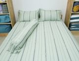  Bộ chăn ga Modal Xanh Non 