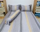  Bộ Chăn ga lụa Tencel Kẻ Xám 