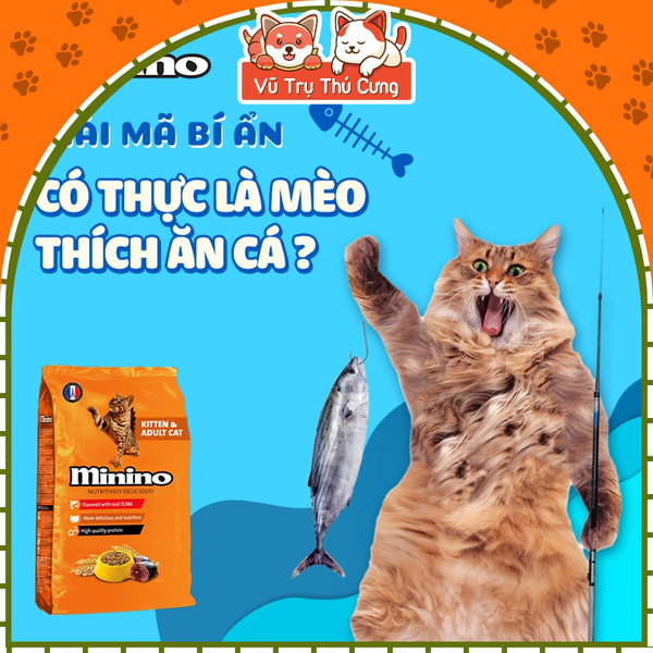 Thức Ăn Hạt Minino Tuna Cho Mèo Mọi Độ Tuổi 1,3Kg