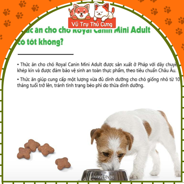 Hạt cho chó trưởng thành Royal Canin Mini Adult 800g, 2kg