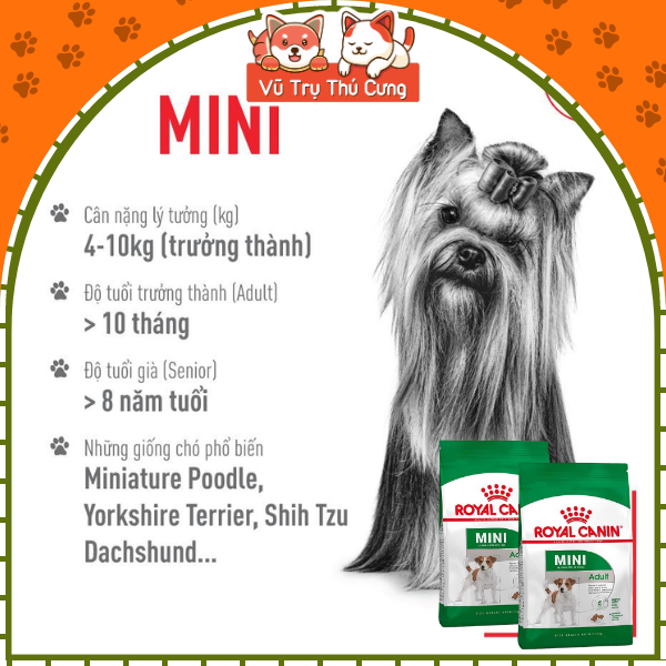 Hạt cho chó trưởng thành Royal Canin Mini Adult 800g, 2kg