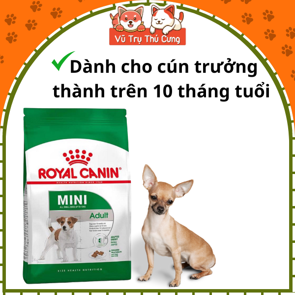 Hạt cho chó trưởng thành Royal Canin Mini Adult 800g, 2kg