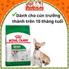 Hạt cho chó trưởng thành Royal Canin Mini Adult 800g, 2kg