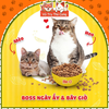 [1.1Kg] Thức ăn hạt Me-O Kitten dành cho mèo con dưới 12 tháng