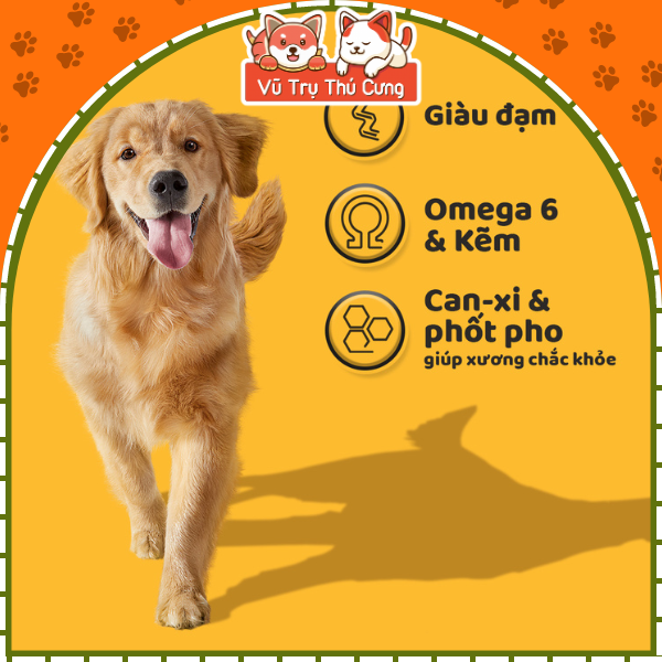 Thức ăn Hạt Pedigree cho Chó trưởng thành vị Bò 1,5Kg