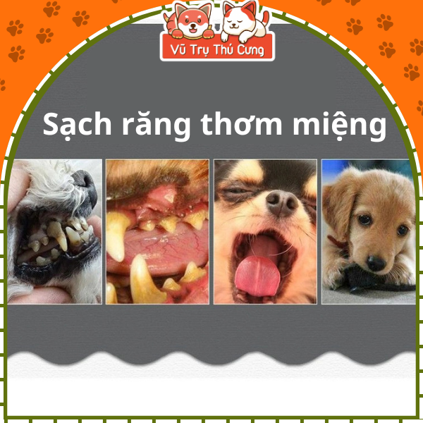 Snack Gặm Sạch Răng Cho Chó, cá hồi cuộn sữa 7Dental Effects 160g