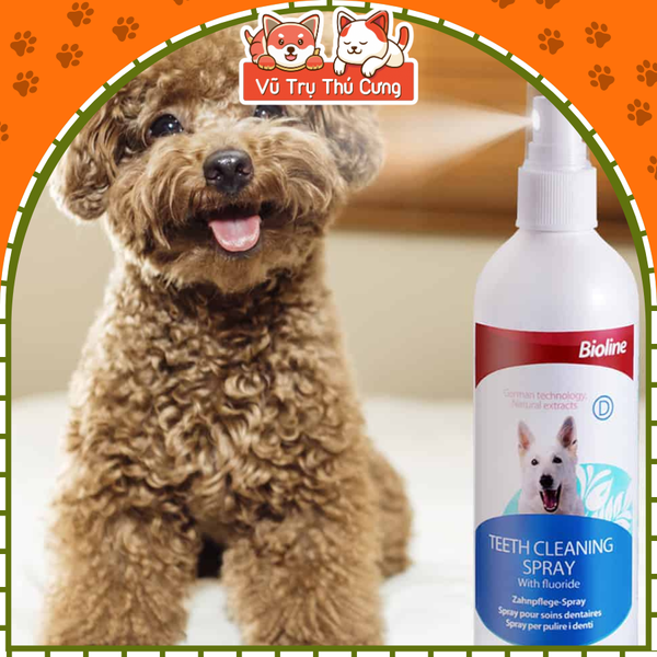 Xịt thơm miệng cho Chó và loại bỏ mảng bám Bioline 175ml