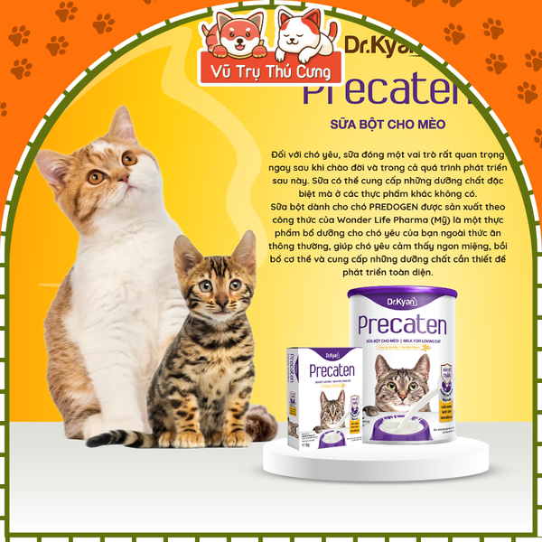 Sữa bột dinh dưỡng Dr Kyan Precaten cho Mèo, hộp 110g