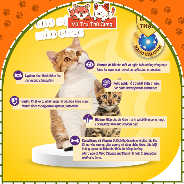 Sữa bột dinh dưỡng Dr Kyan Precaten cho Mèo, hộp 110g