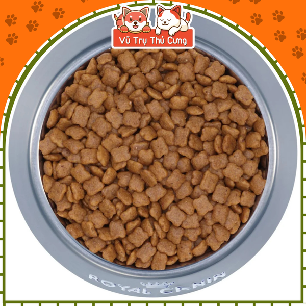 Hạt Royal Canin Kitten cho mèo con 500g