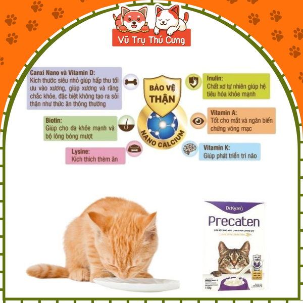 Sữa bột dinh dưỡng Dr Kyan Precaten cho Mèo, hộp 110g